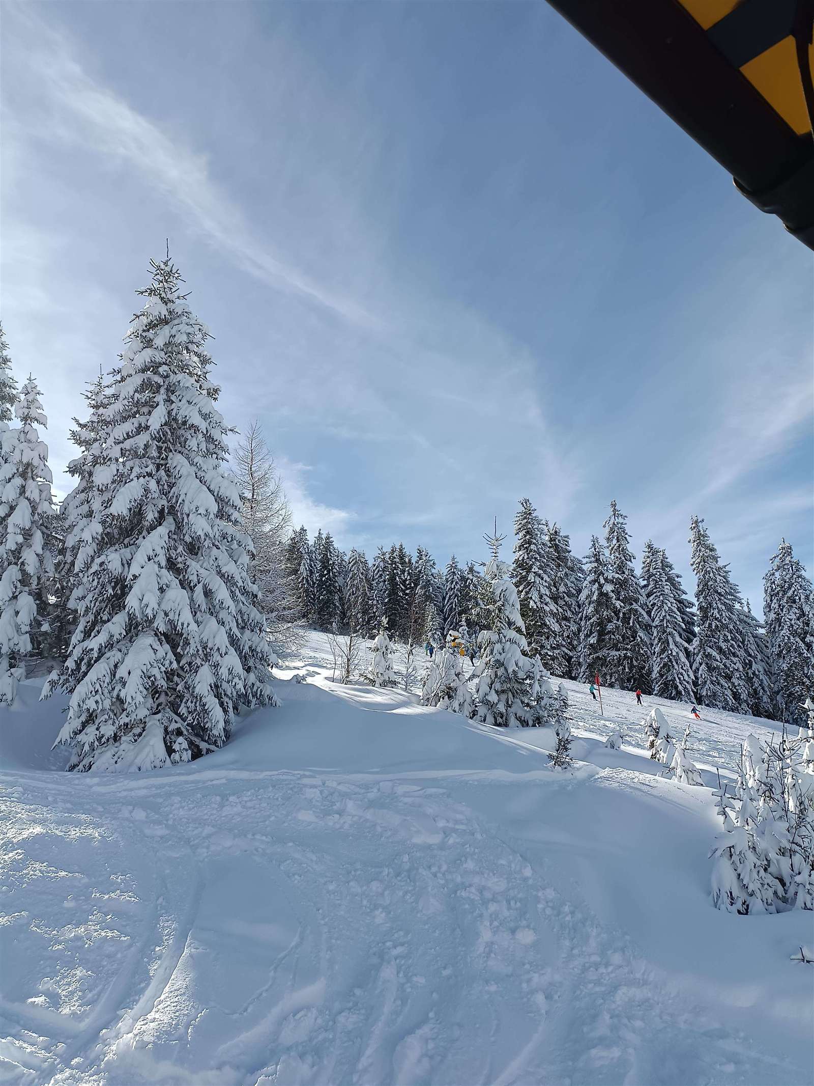 Schneelandschaft
